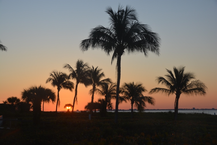 sunrise on Sanibel